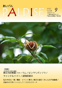 PALDISE