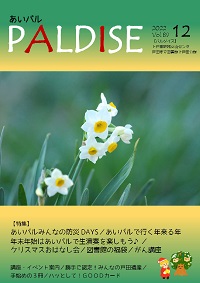 PALDISE